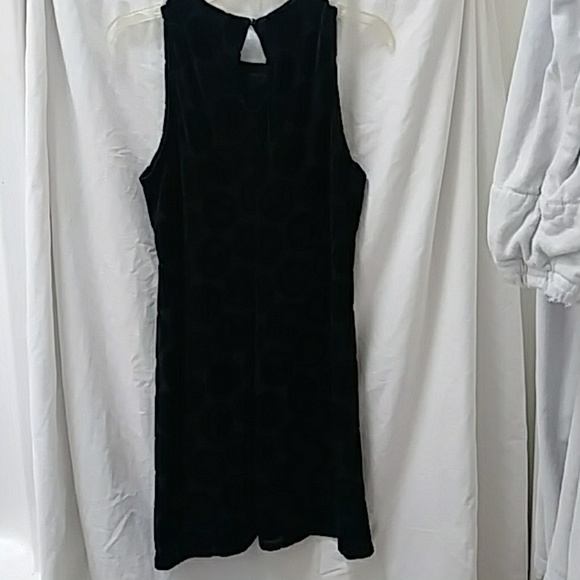 Little Black Dress - Picture 7 of 8